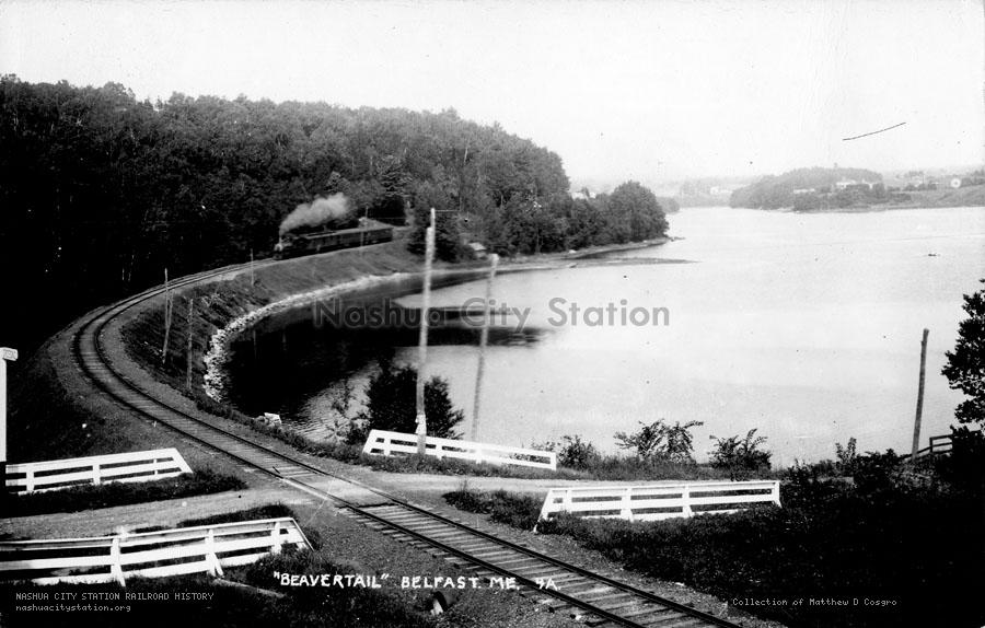 Postcard: "Beavertail" Belfast, Maine